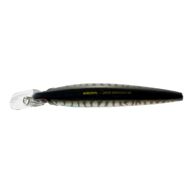 isca-artificial-jack-minnow-85-cor-cr39-03-20850.jpg